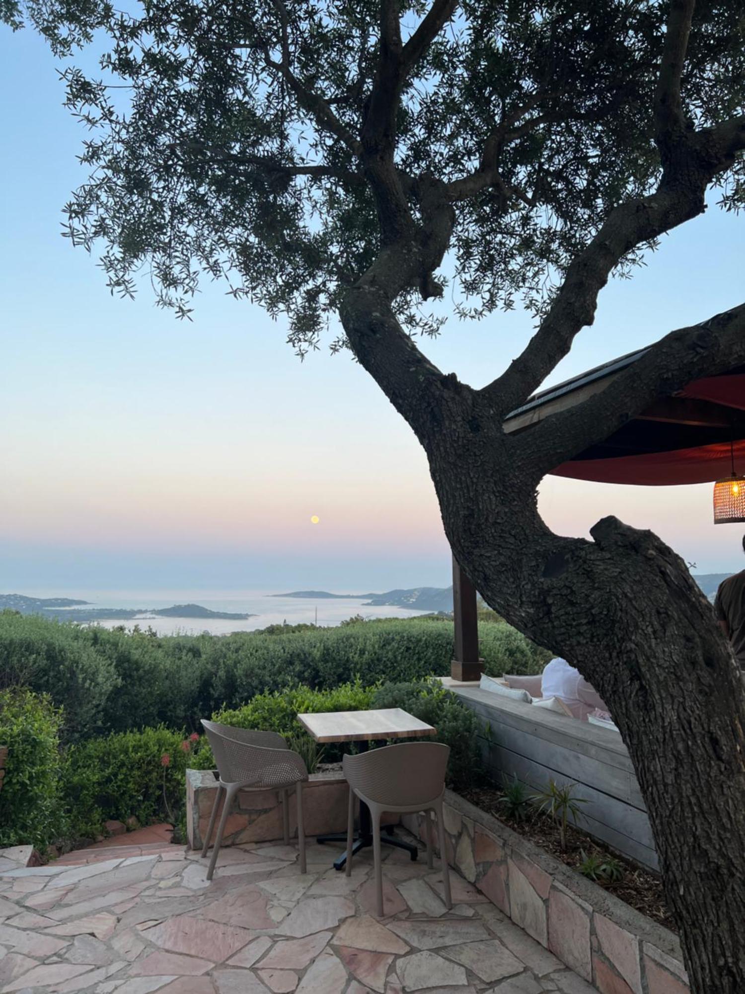 Villa L'Arbousiere 维琪奥港 外观 照片