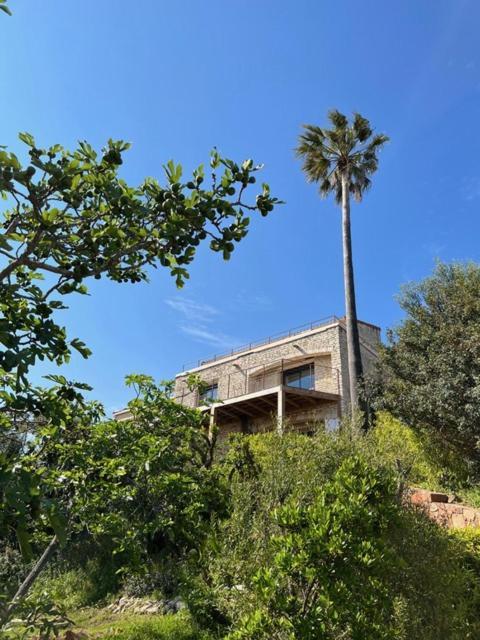 Villa L'Arbousiere 维琪奥港 外观 照片